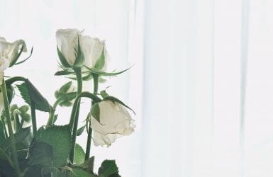 Overlijdensrisicoverzekering witte rozen