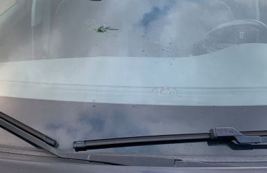 Star damage in windshield car