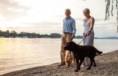 a couple with two dogs